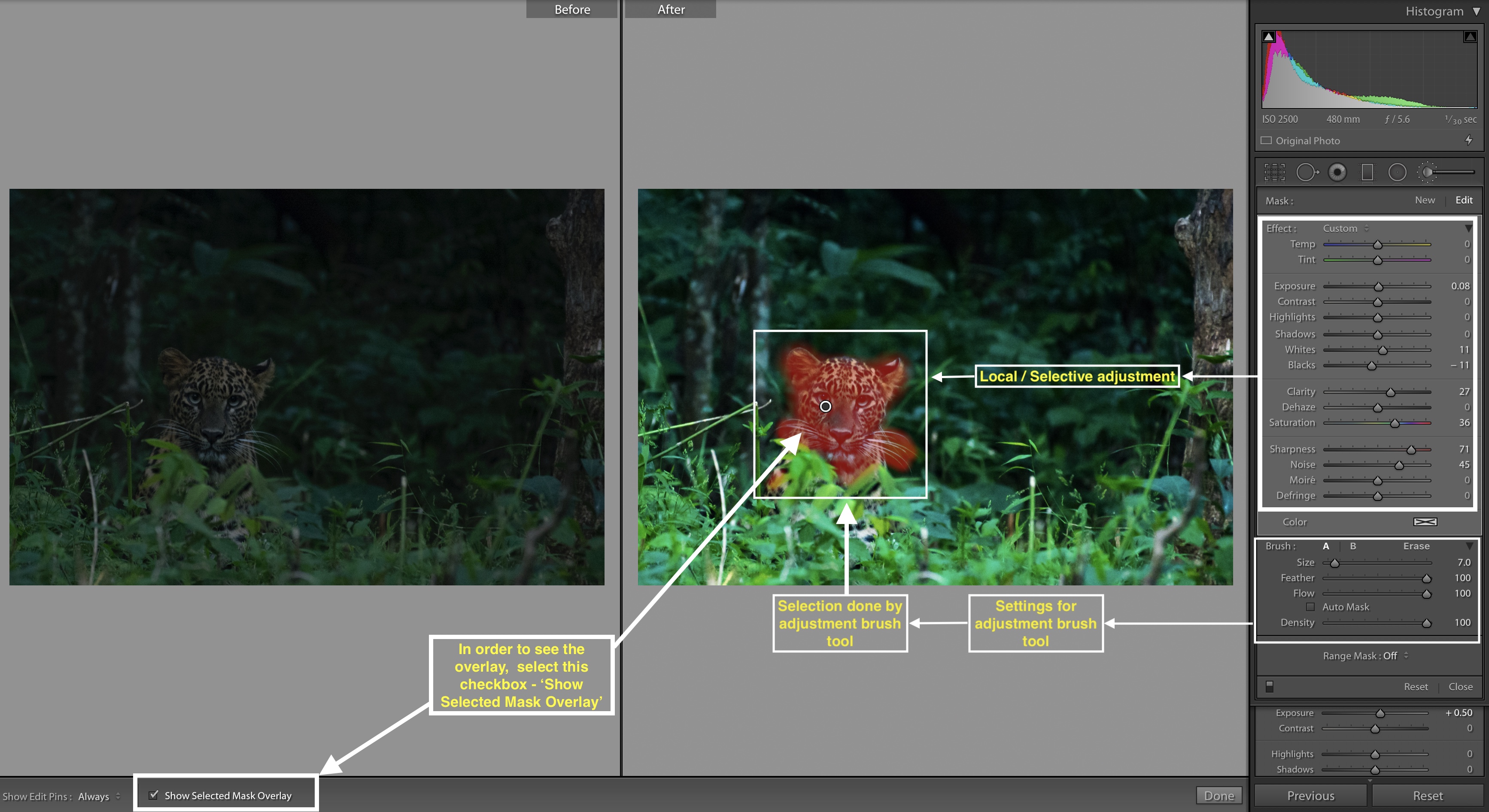 Adjustment brush selection in Adobe Lightroom 