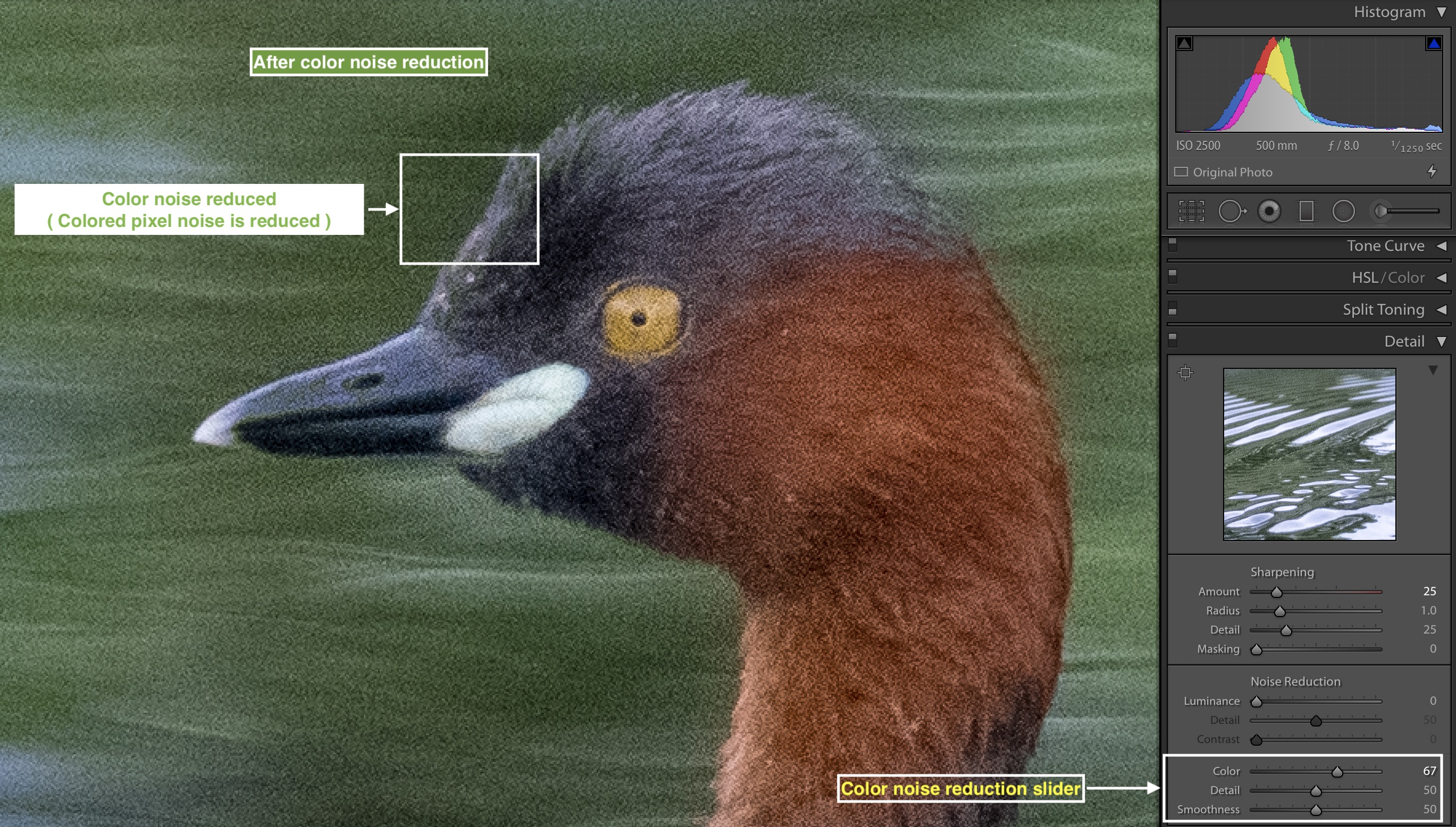 Colour noise reduction in Adobe Lightroom