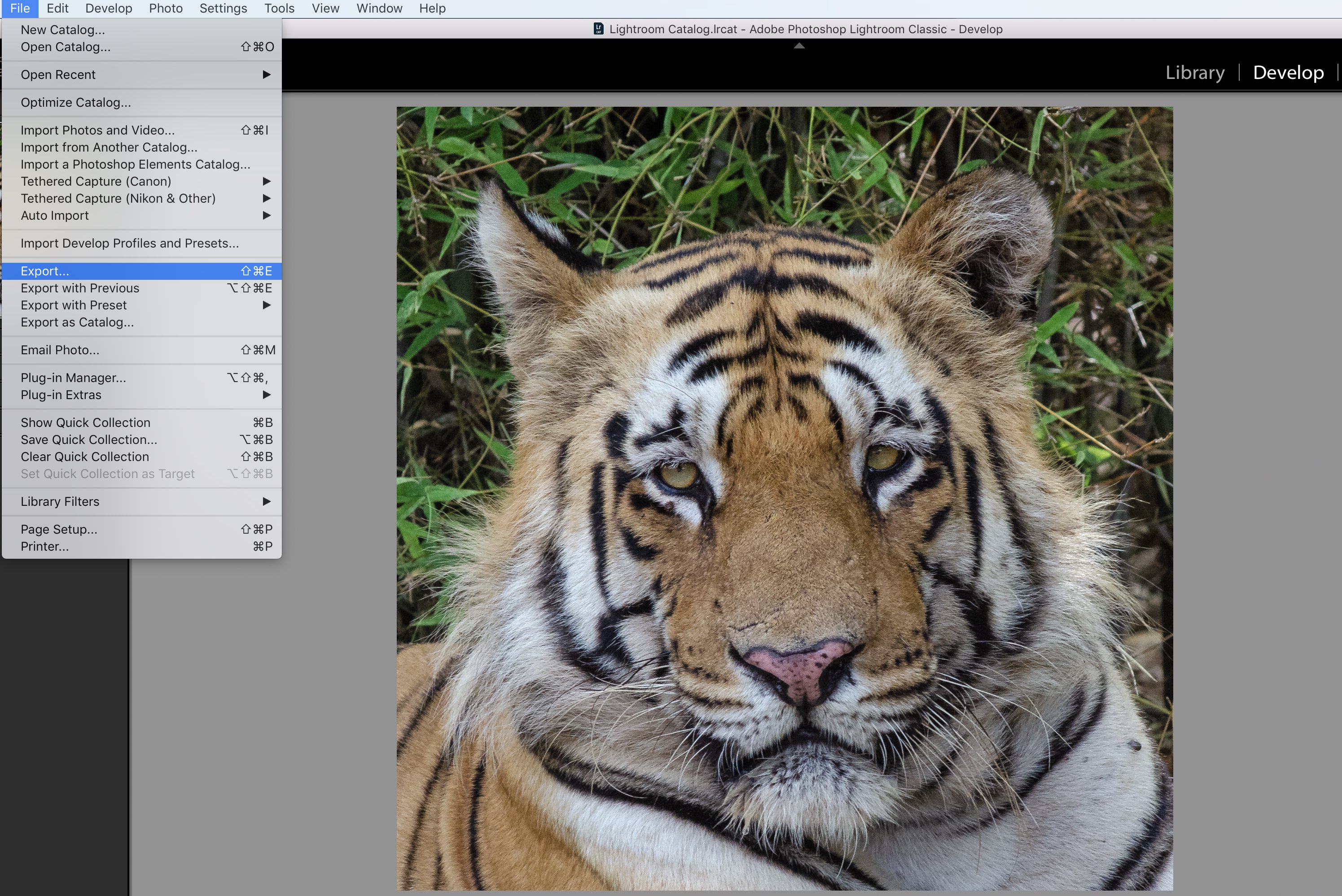 Image export in adobe lightroom