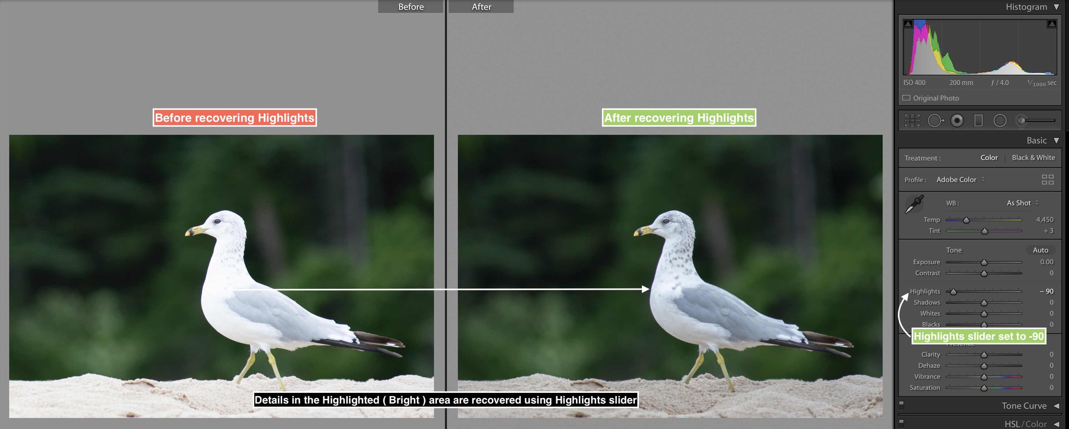 Highlight recovery in Adobe Lightroom