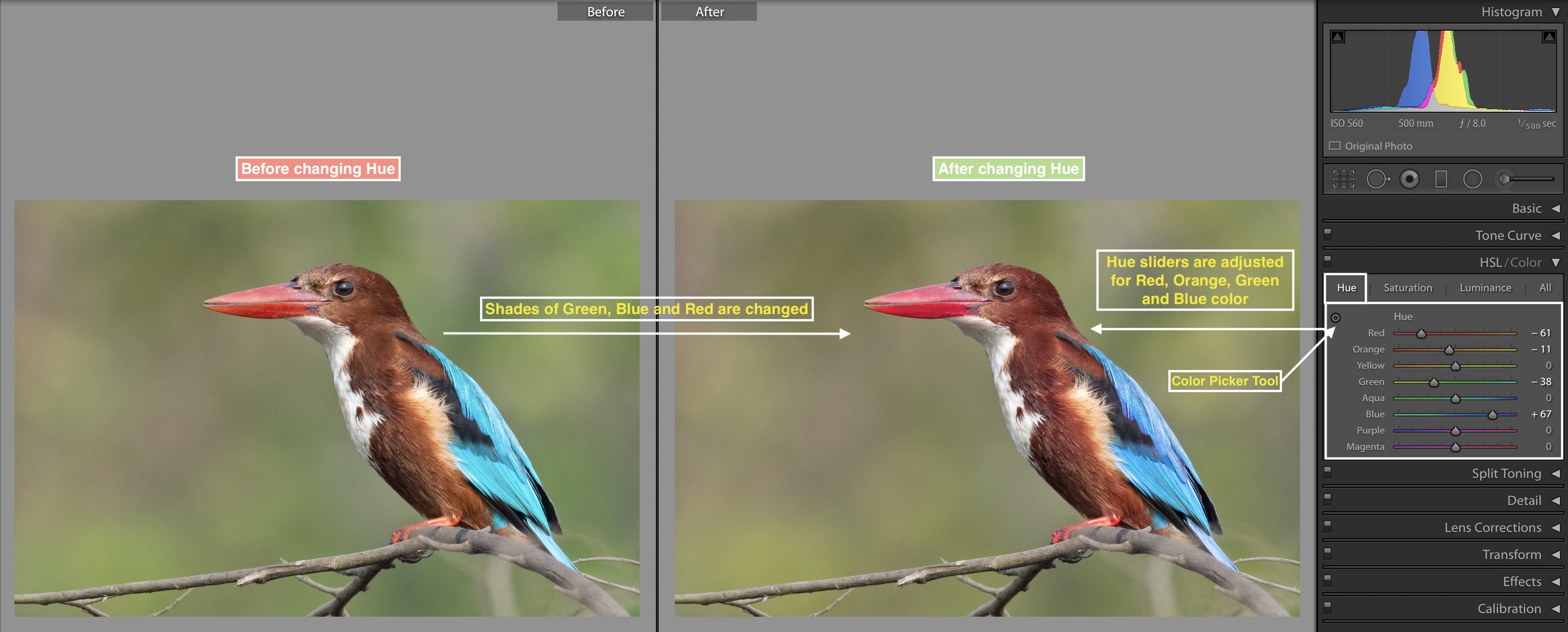 Hue slider in Adobe Lightroom 