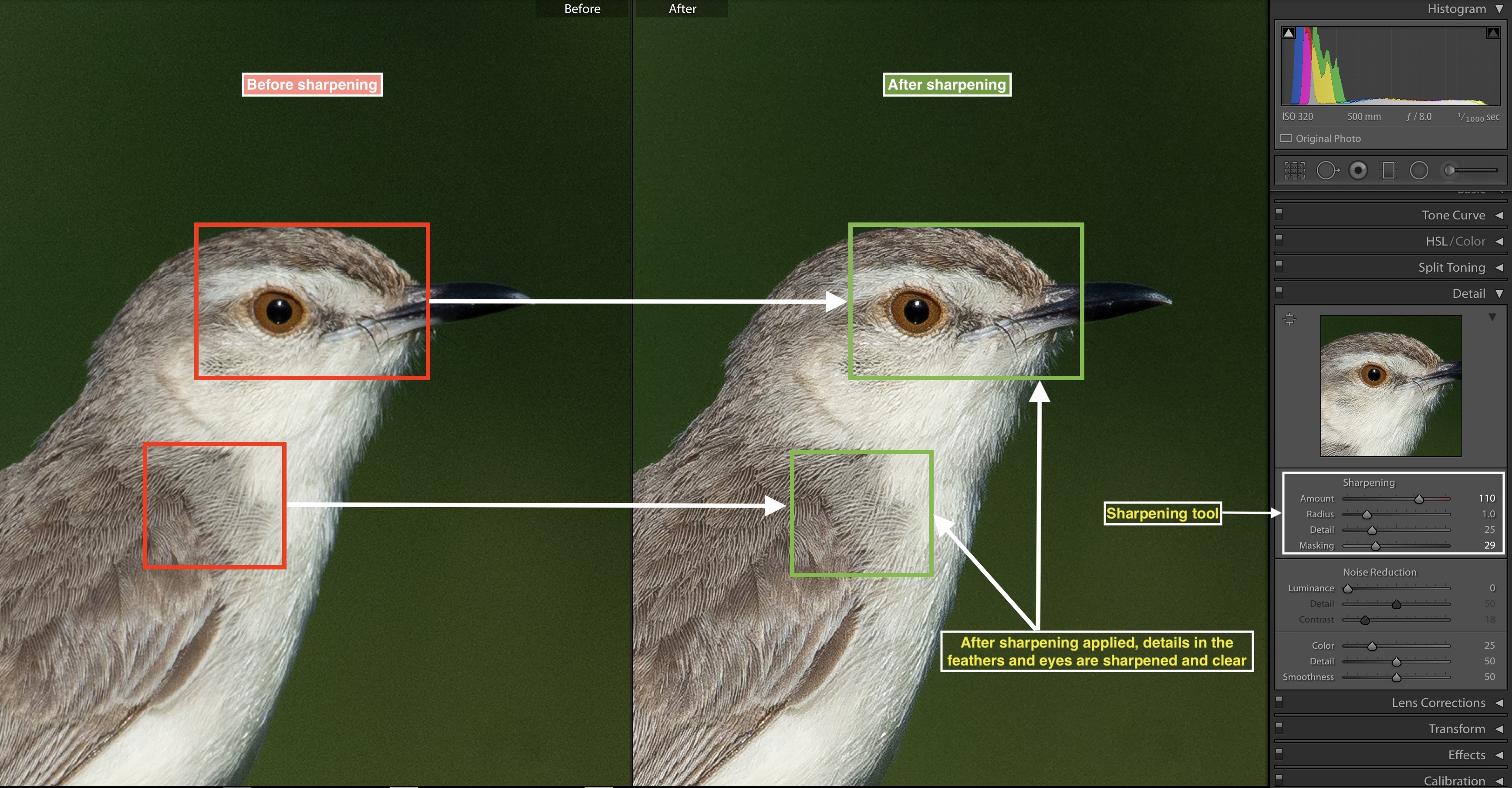 Image sharpening in Adobe Lightroom