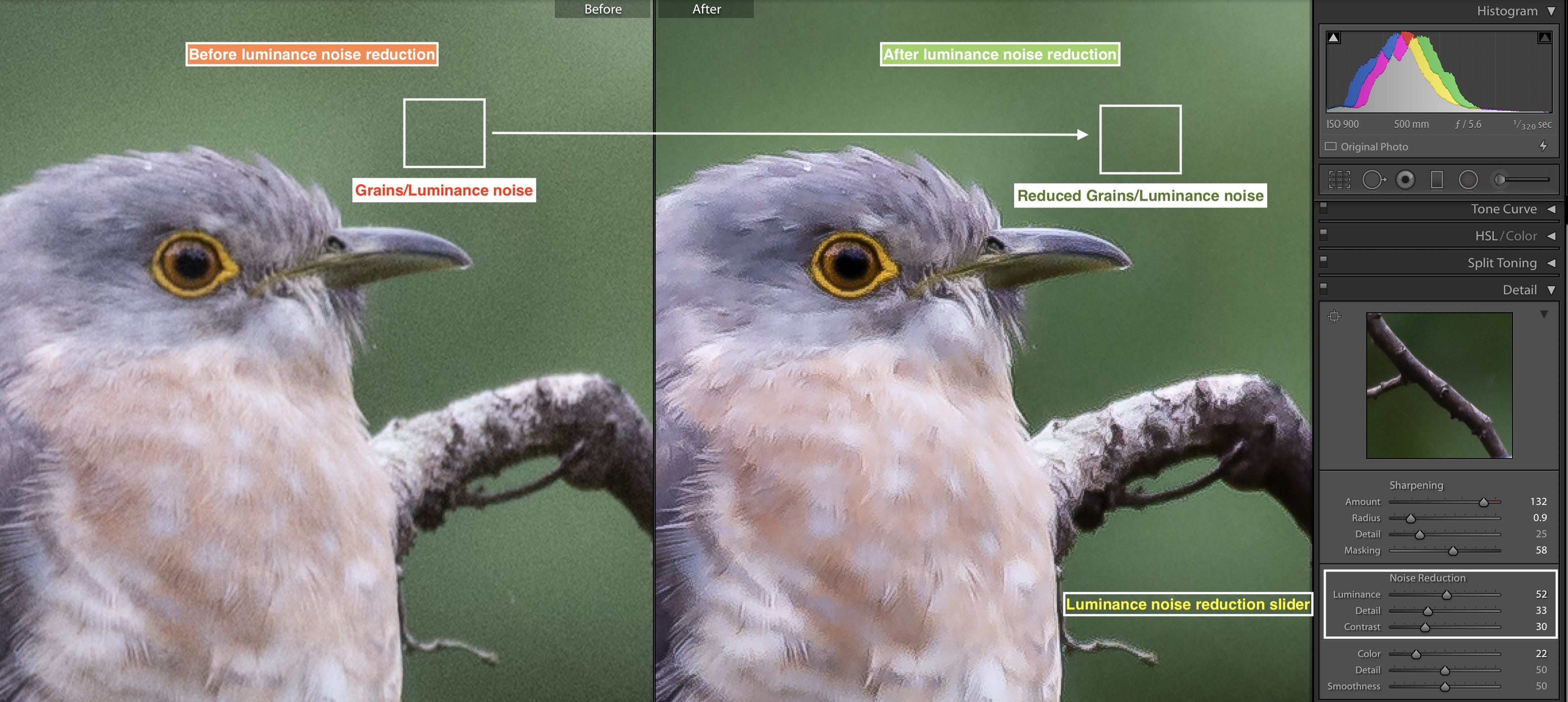 Luminance noise reduction in Adobe Lightroom