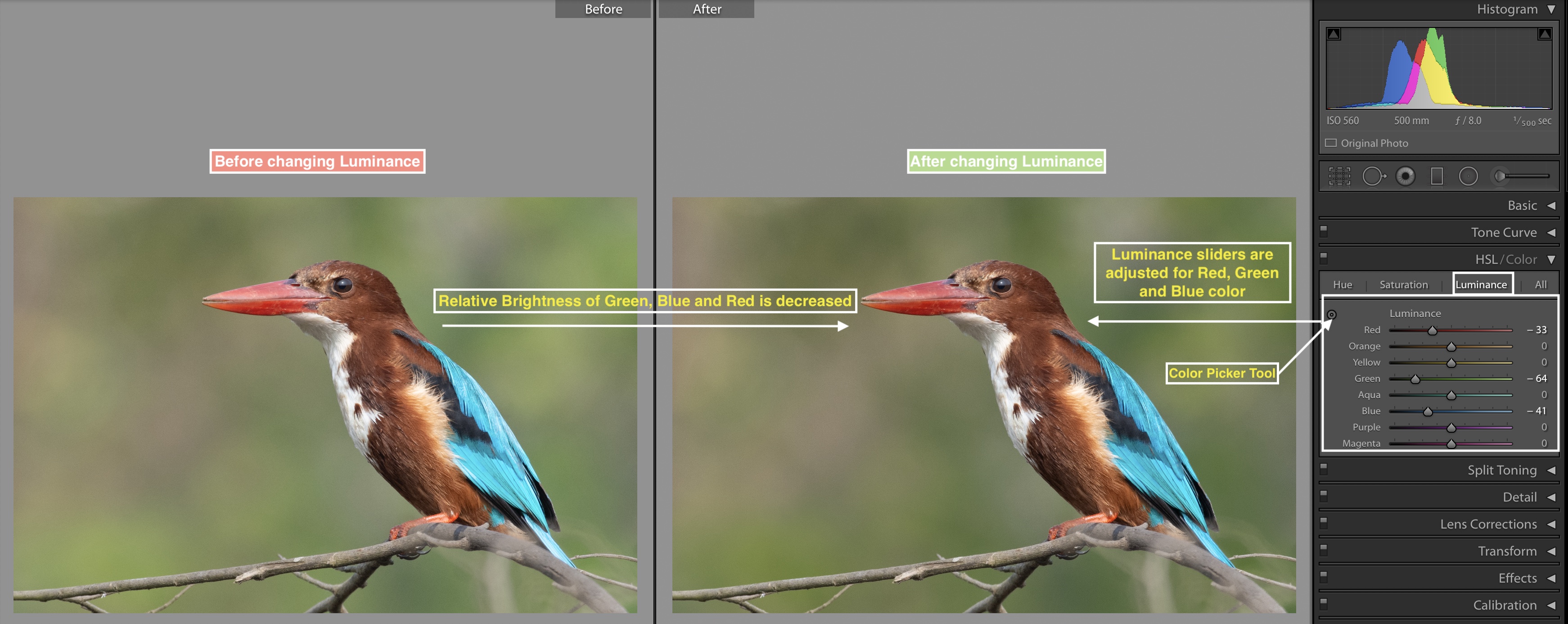 Luminance slider in Adobe Lightroom 