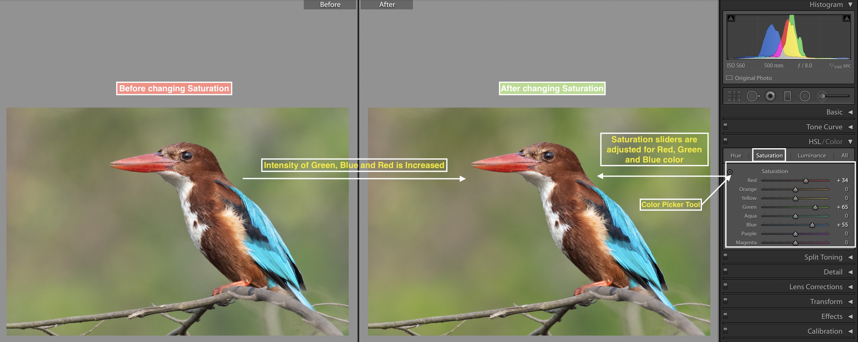 Saturation slider in Adobe Lightroom 