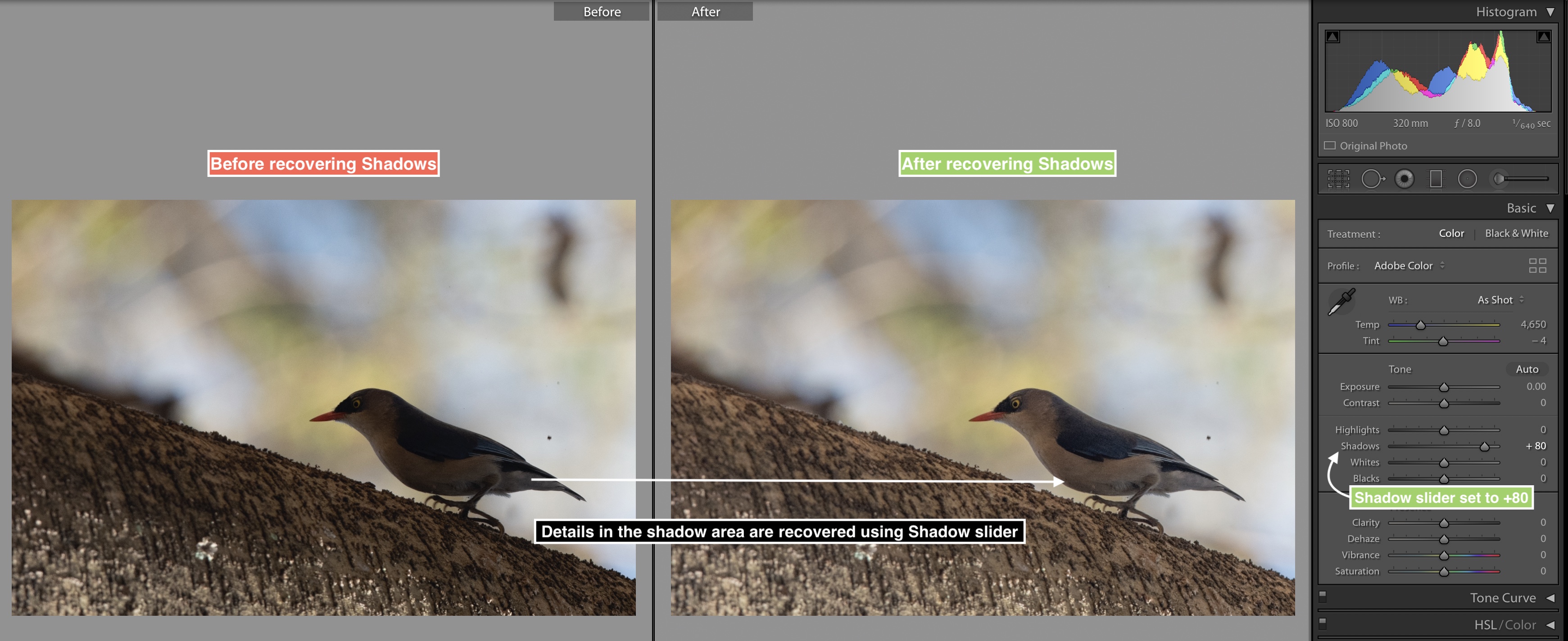 Shadow recovery in Adobe Lightroom