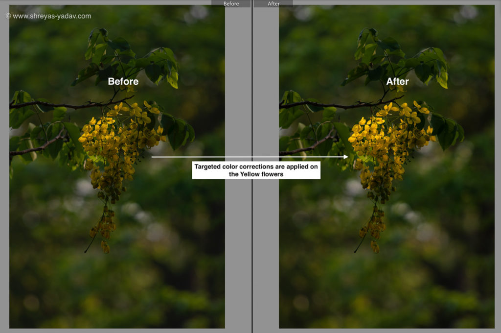 Targeted Color Adjustment Using Gradual Filter 