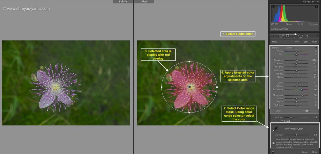 Radial filter in Adobe Lightroom 