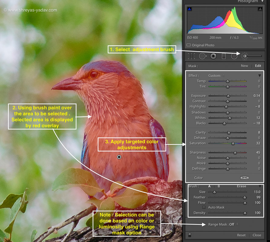 Adjustment Filter In Adobe Lightroo m