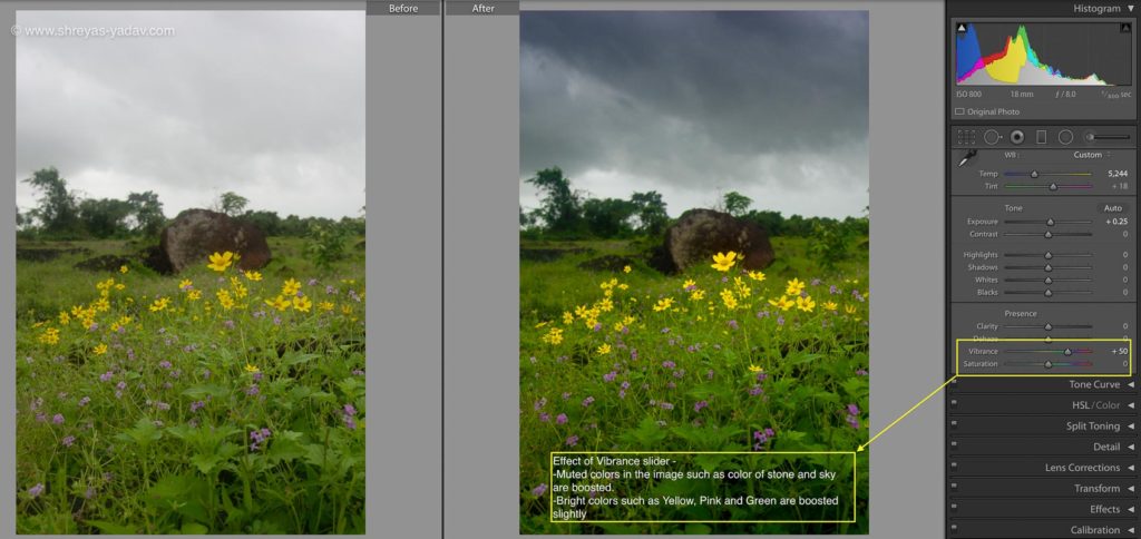 Vibrance slider in Adobe Lightroom