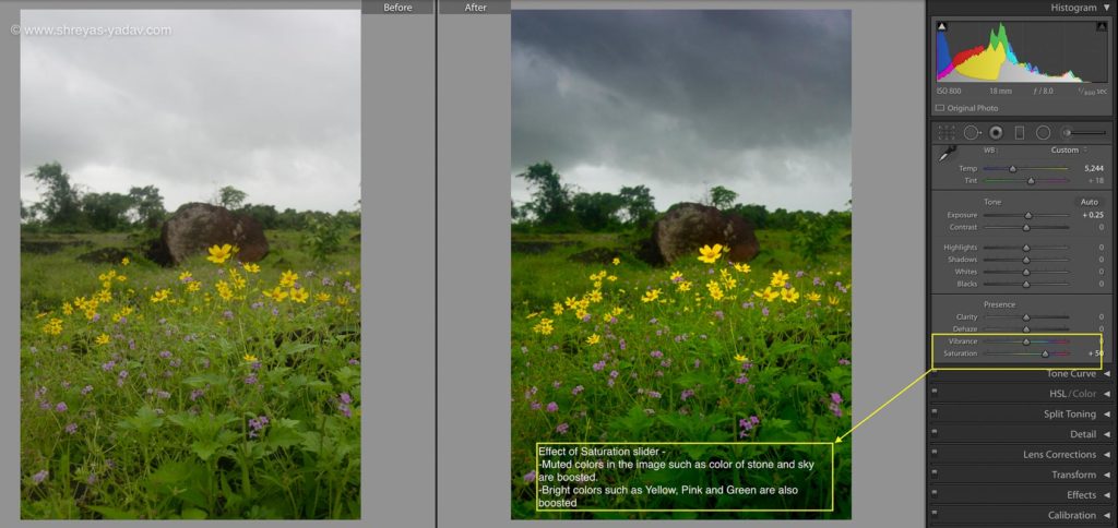 Saturation slider in Adobe Lightroom