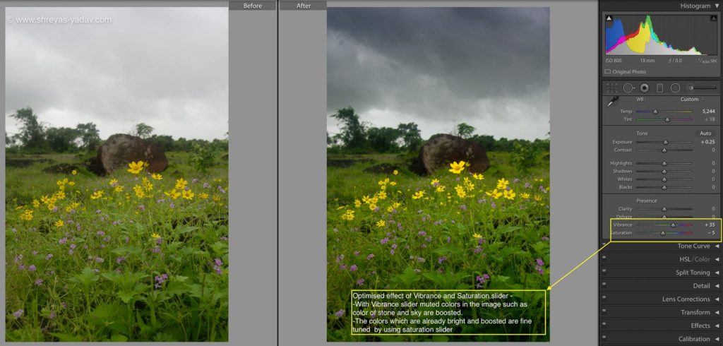 Saturation and Vibrance in Lightroom