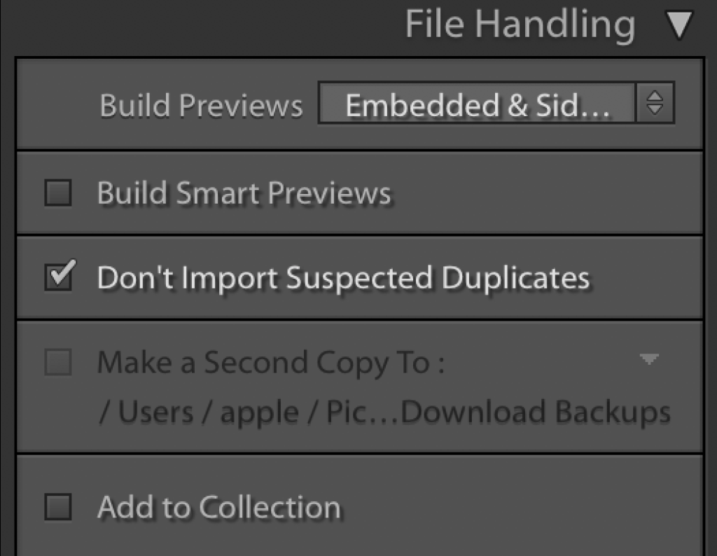 File Handling in Adobe Lightroom