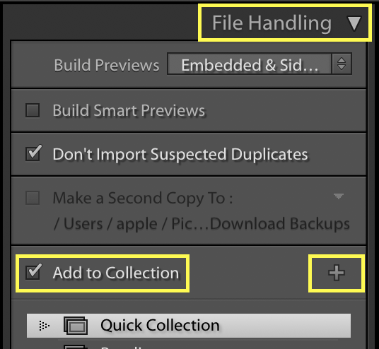 File Handing in Adobe Lightroom