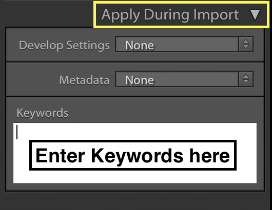 Keywording the images in Adobe Lightroom 
