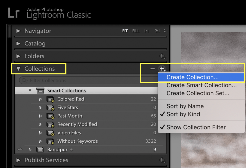Creating Collection in the Library Module