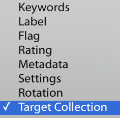 Painting Target Collection option 