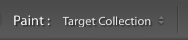 Painting Target Collection option 