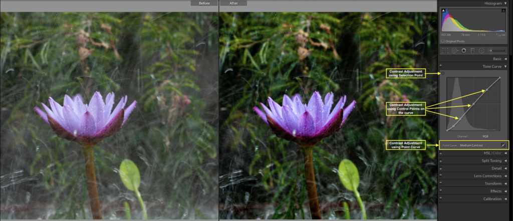 Contrast Adjustment Using Tone Curve In Lightroom