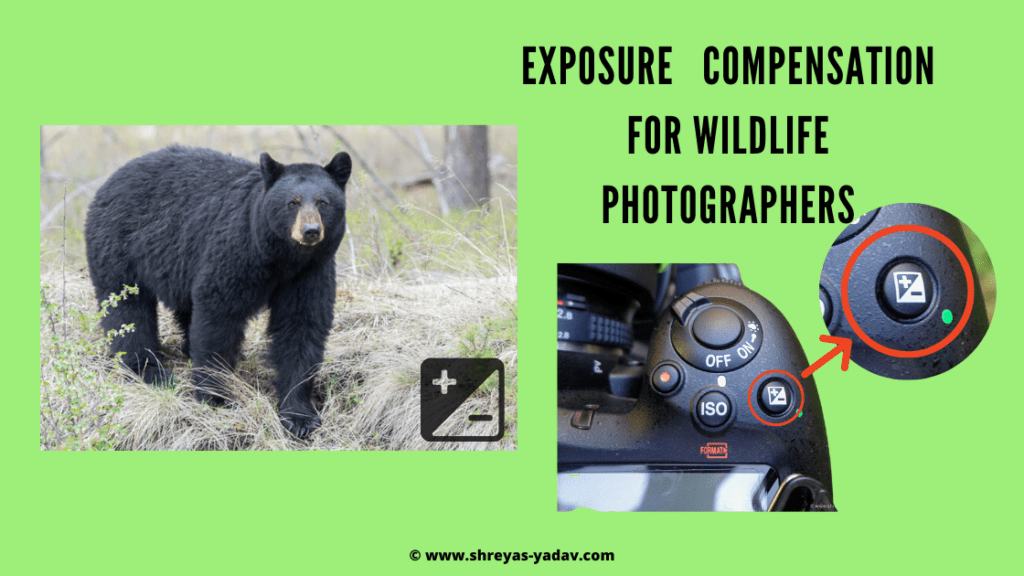 Exposure Compensation