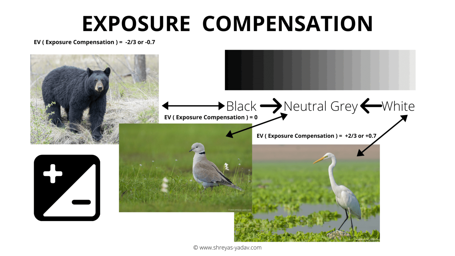 Exposure Compensation for Wildlife Photographers Shreyas Yadav