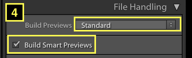 standard-previews-lightroom