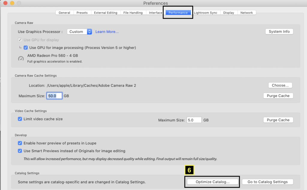 adobe camera raw cache