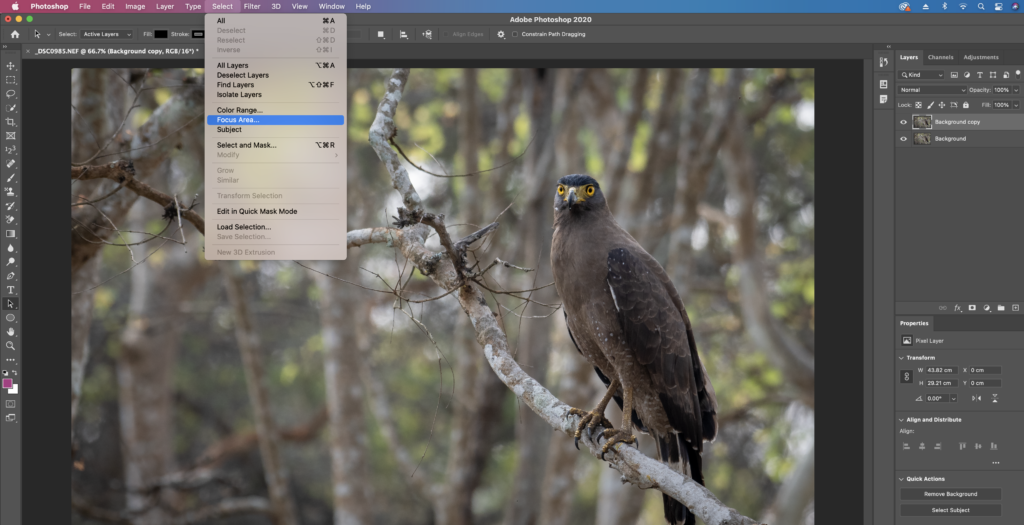 3 Easy and quick tools to make Precise selections in Adobe Photoshop