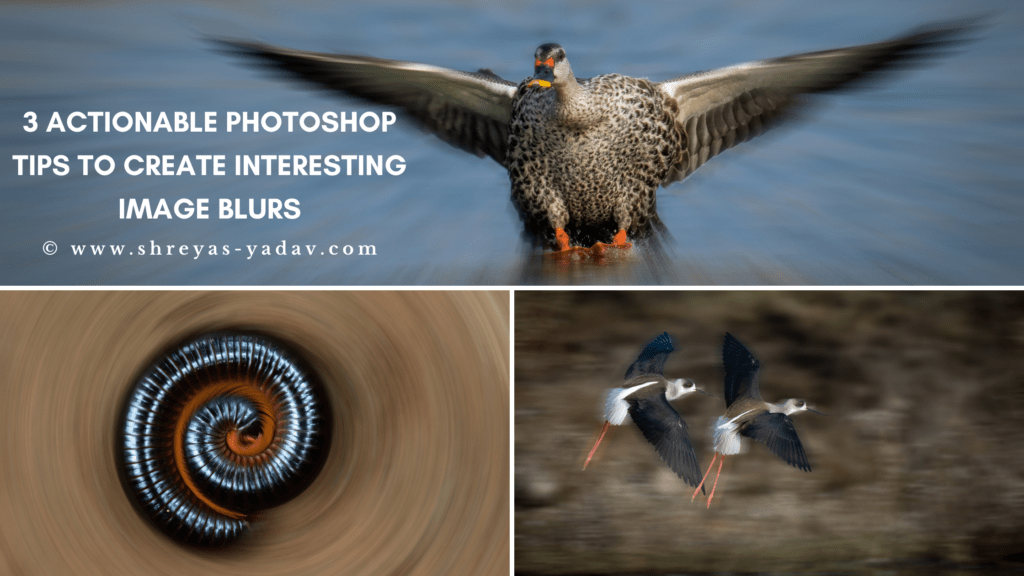 3 Actionable Photoshop tips to create interesting Image Blurs