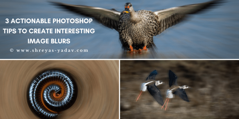 Creative Blurs using Adobe Photoshop