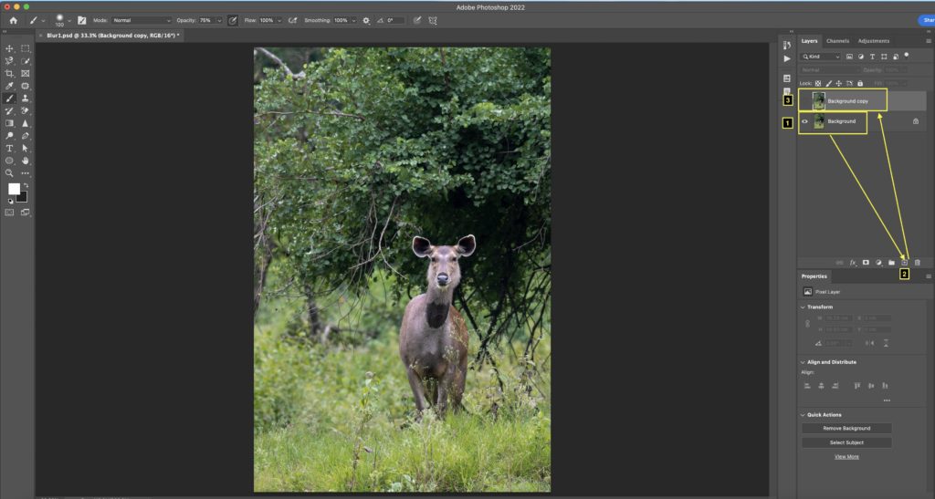 Lens Blur in Photoshop 