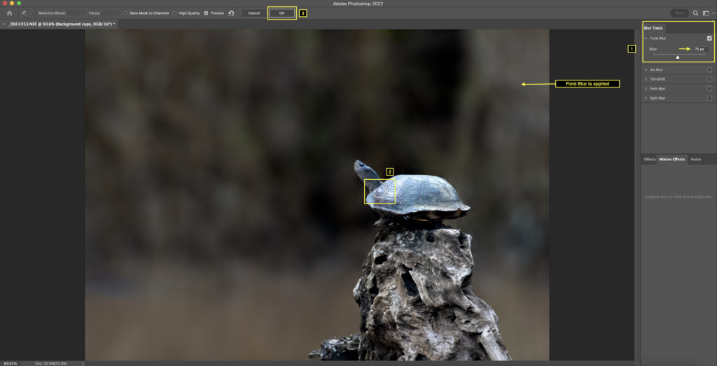 Field Blur in Photoshop 