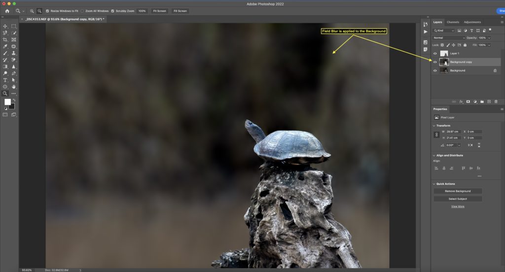 Field Blur in Photoshop 