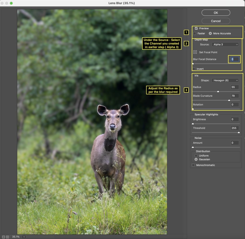 Lens Blur in Photoshop 