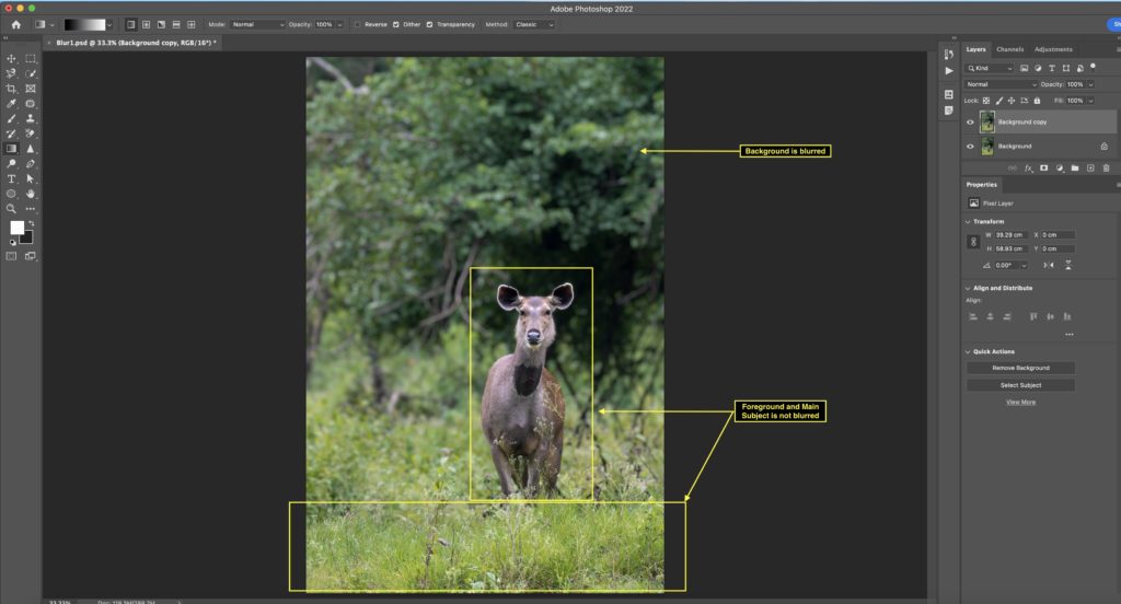 Lens Blur in Photoshop 