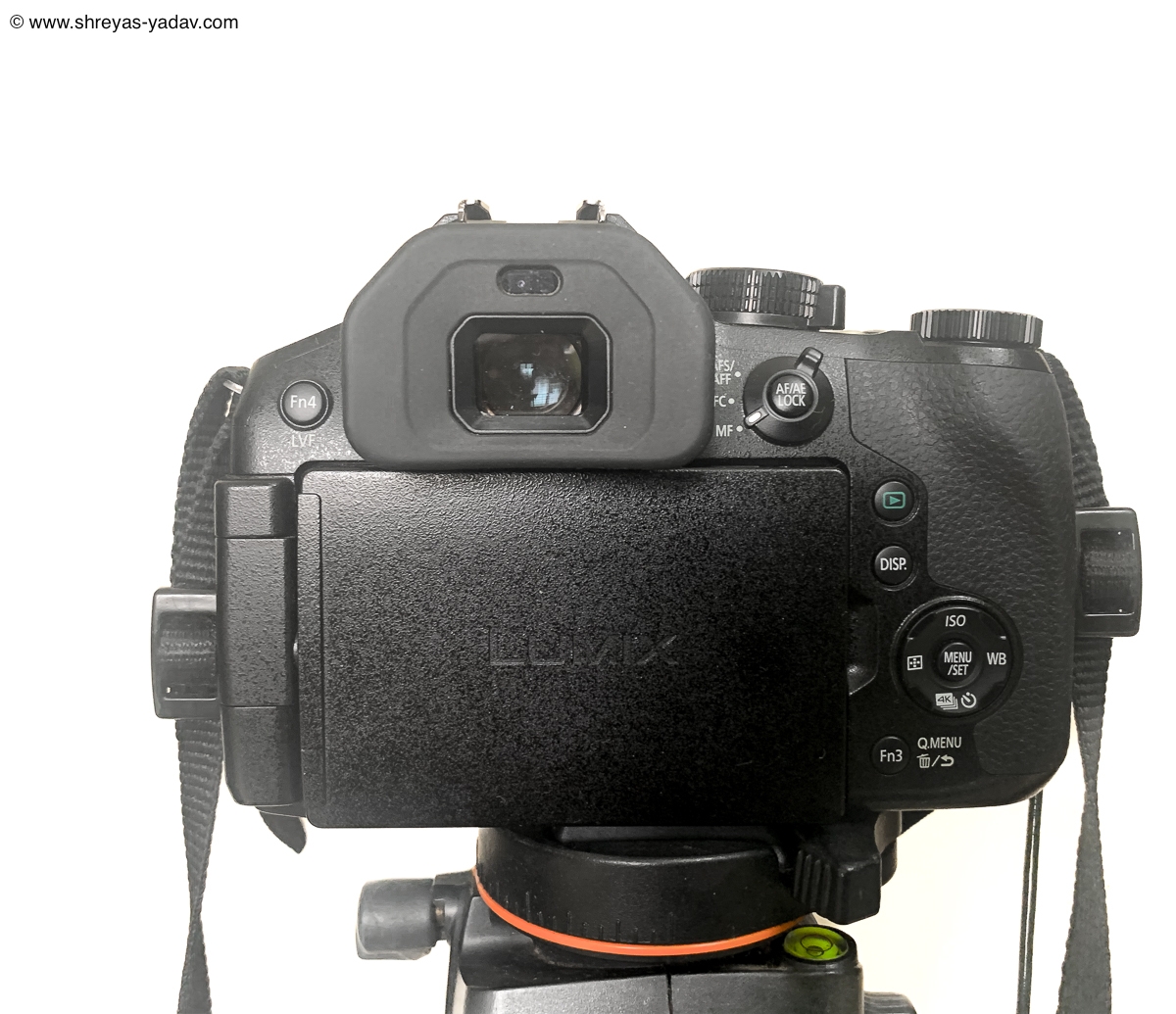 Best Bridge Camera For Wildlife Photography Lumix Fz300 Best Bridge Camera For Wildlife Photography Lumix Fz300