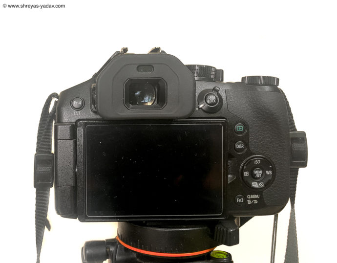 Best Bridge Camera for Wildlife Photography Lumix FZ300