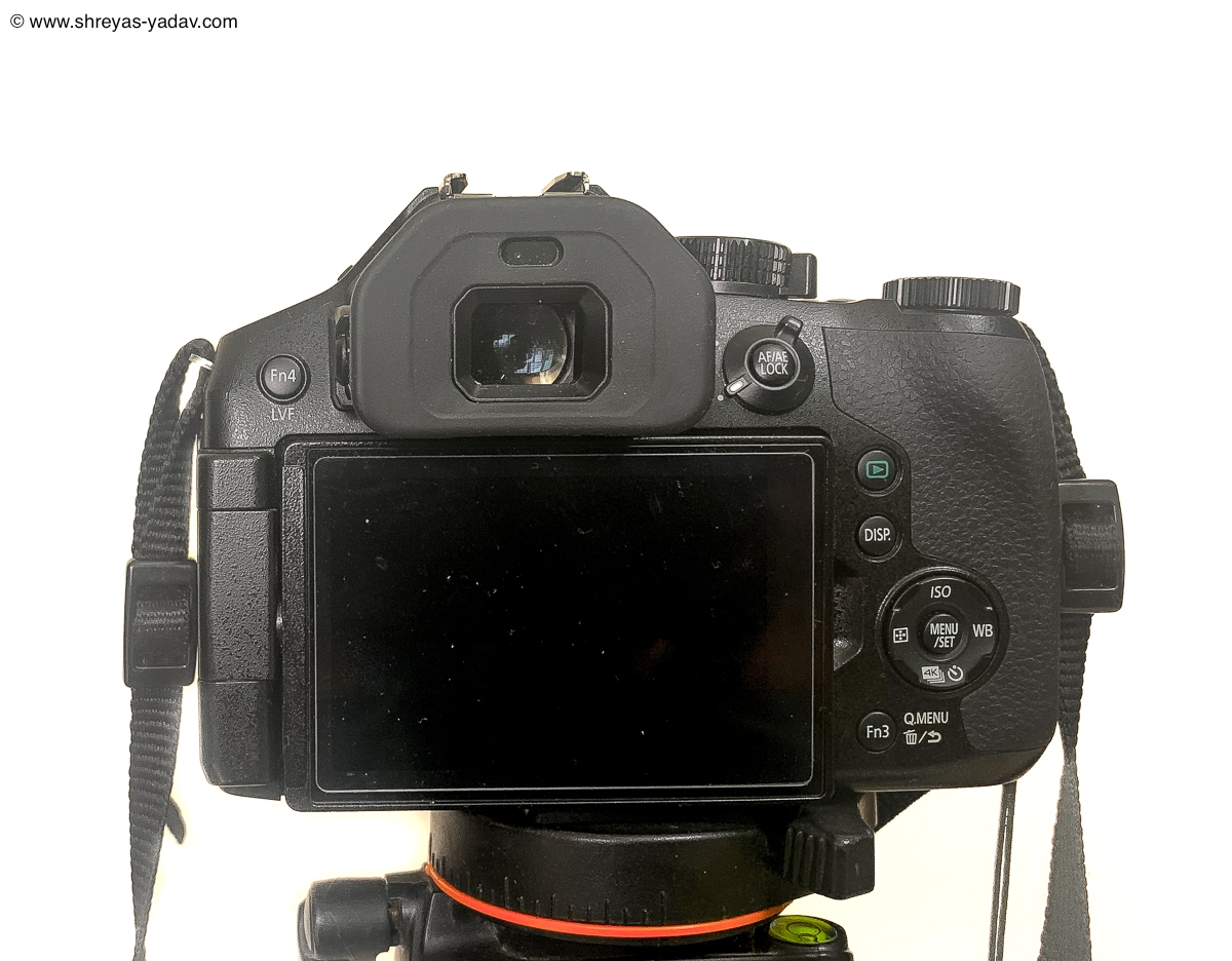Best Bridge Camera For Wildlife Photography Lumix Fz300 Best Bridge Camera For Wildlife Photography Lumix Fz300