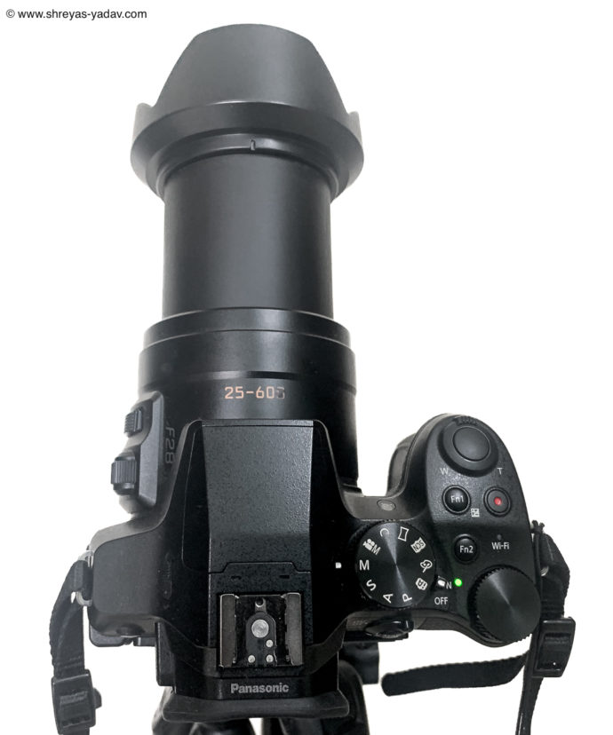 Best Bridge Camera for Wildlife Photography Lumix FZ300