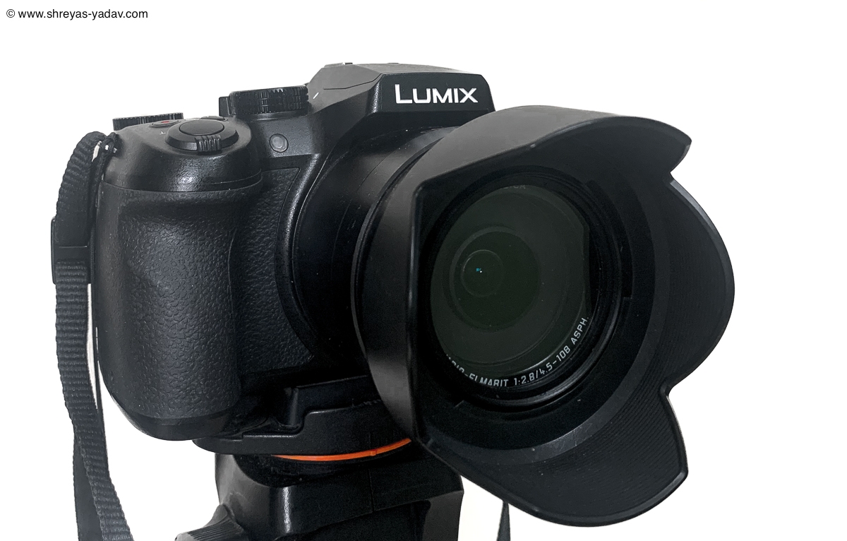 Best Bridge Camera for Wildlife Photography Lumix FZ300