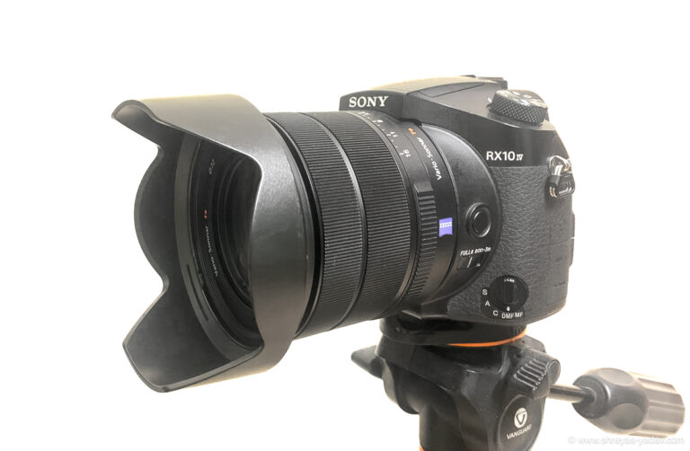 Sony RX10 IV Review Best Bridge Camera for Wildlife Photography