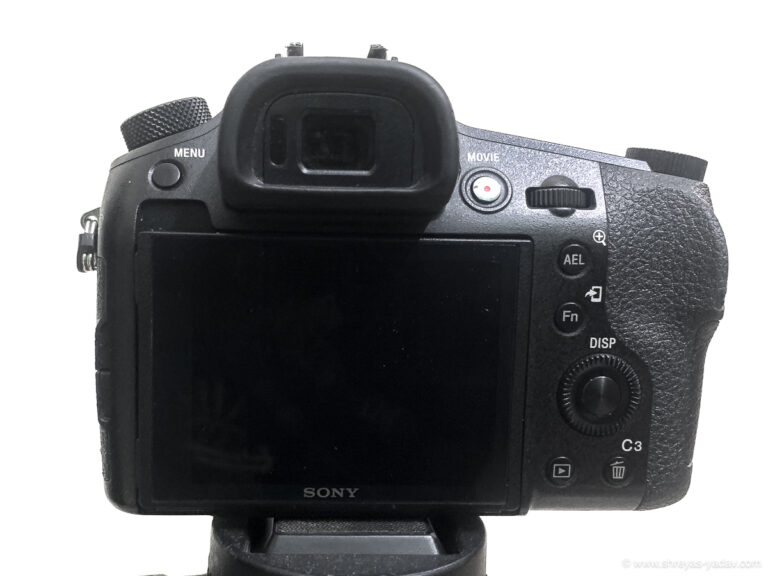 Sony RX10 IV Review Best Bridge Camera for Wildlife Photography