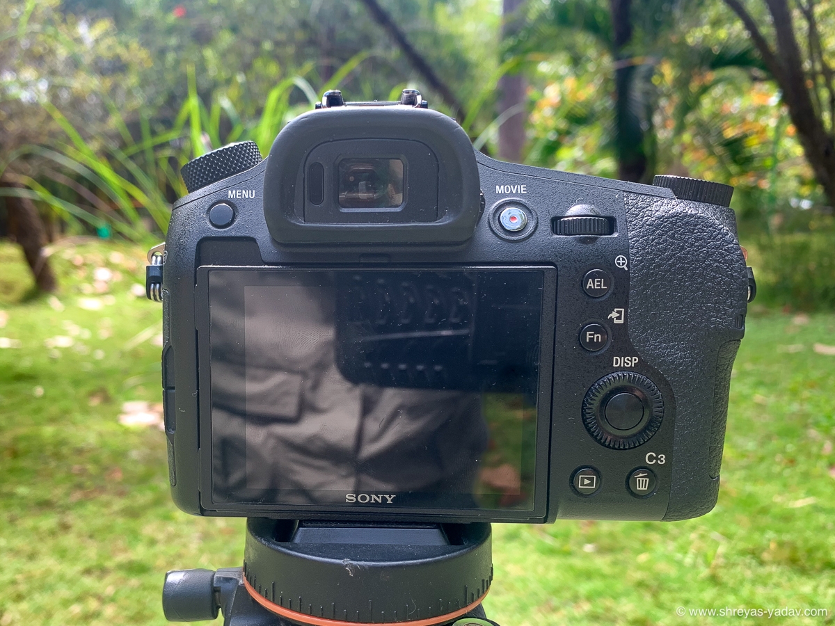 Sony RX10 IV Review Best Bridge Camera for Wildlife Photography