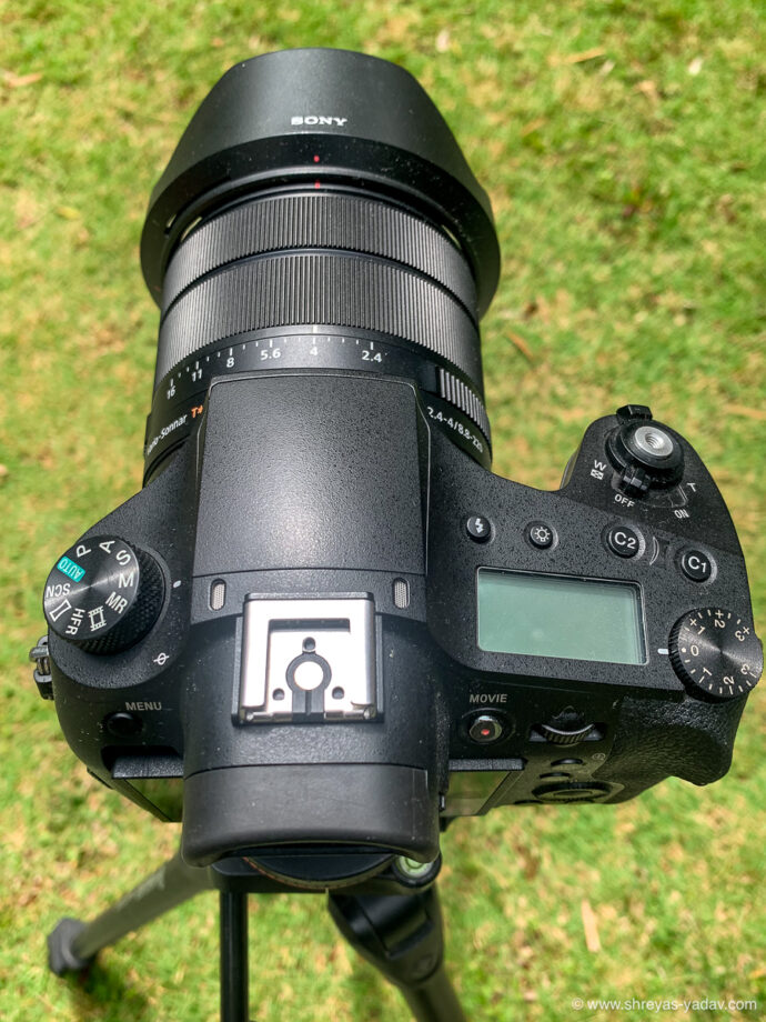 Sony RX10 IV Review Best Bridge Camera for Wildlife Photography