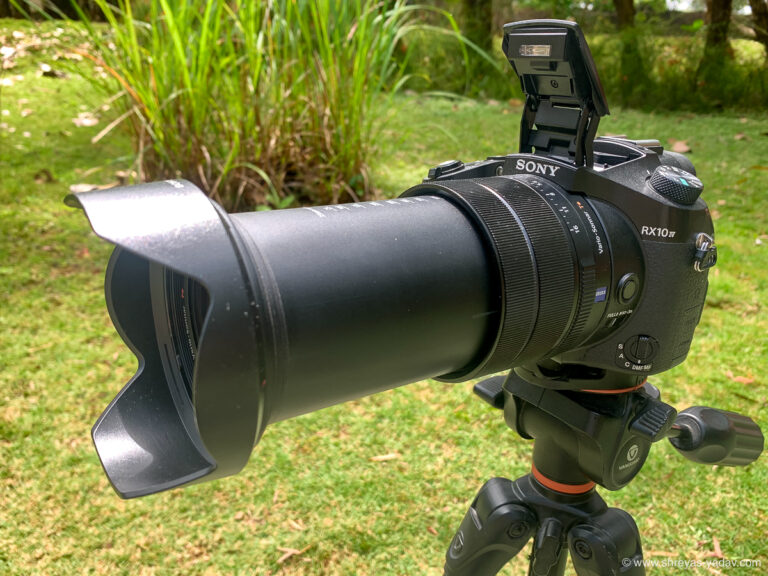 Sony RX10 IV Review Best Bridge Camera for Wildlife Photography