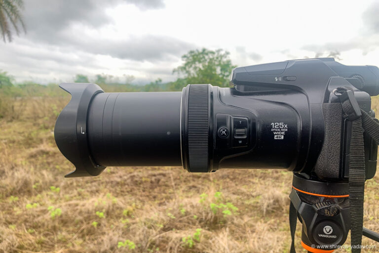 Nikon Coolpix P1000 Best Camera for Bird Photography