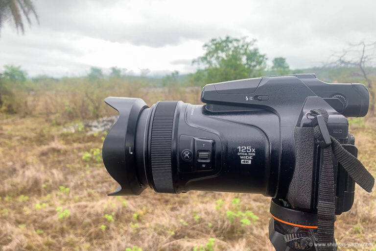 Nikon Coolpix P1000 Best Camera for Bird Photography