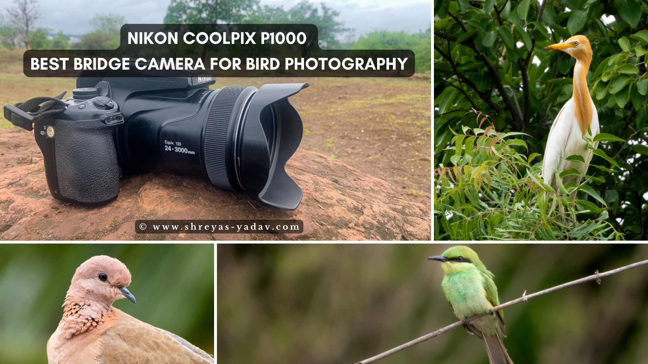 COOLPIX P1000, 125x optical zoom, 24–3000mm