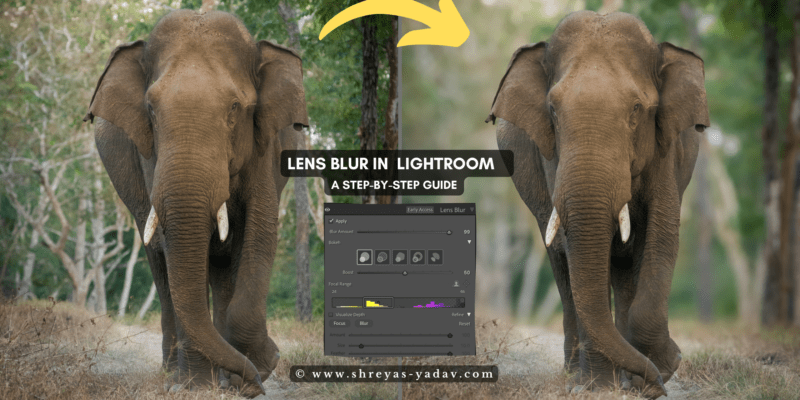 Lens Blur In Adobe Lightroom