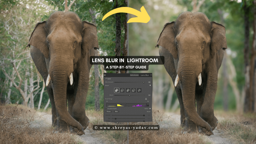 Lens Blur in Adobe Lightroom: A Step-By-Step Guide 